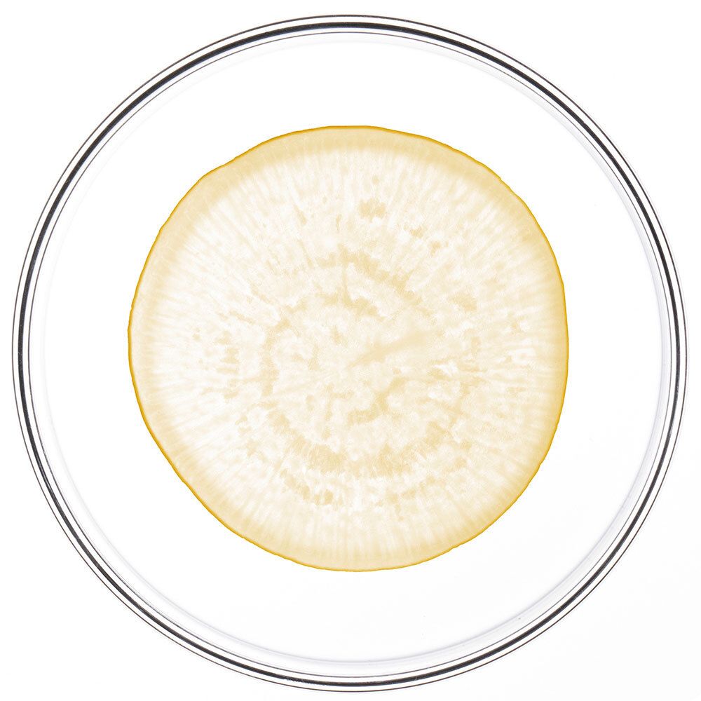 Liquide jaune dans un bol rond et transparent. Sur fond clair.