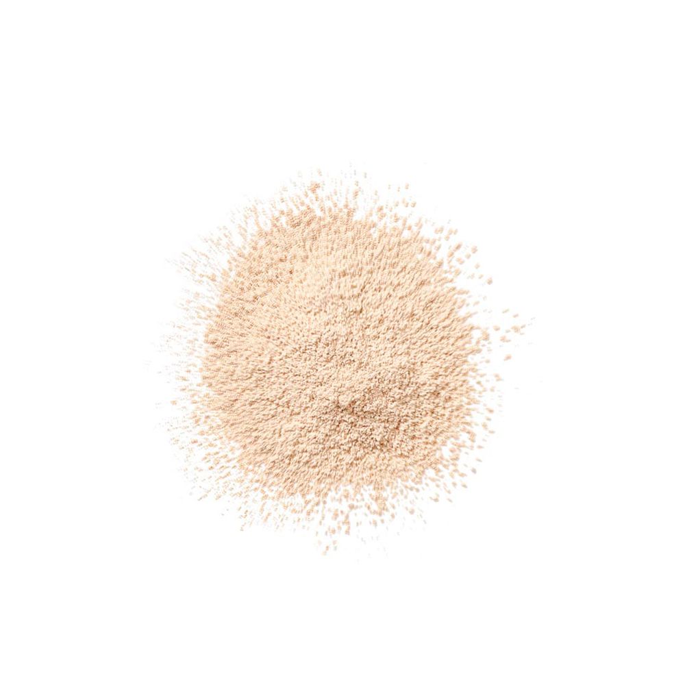 CLINIQUE Blended Face Powder Transparency Neutral
