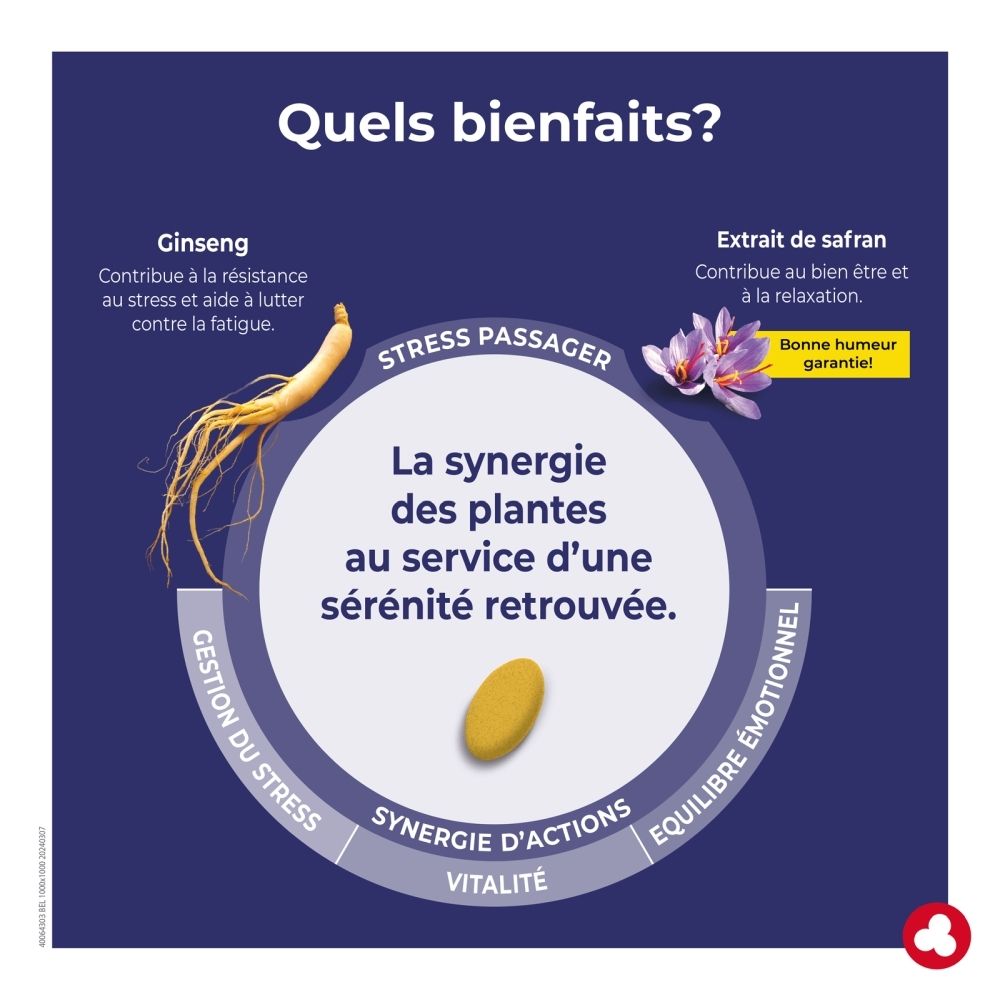 Ortis Relax & Go : Infographie sur les causes du stress, surcharge mentale.