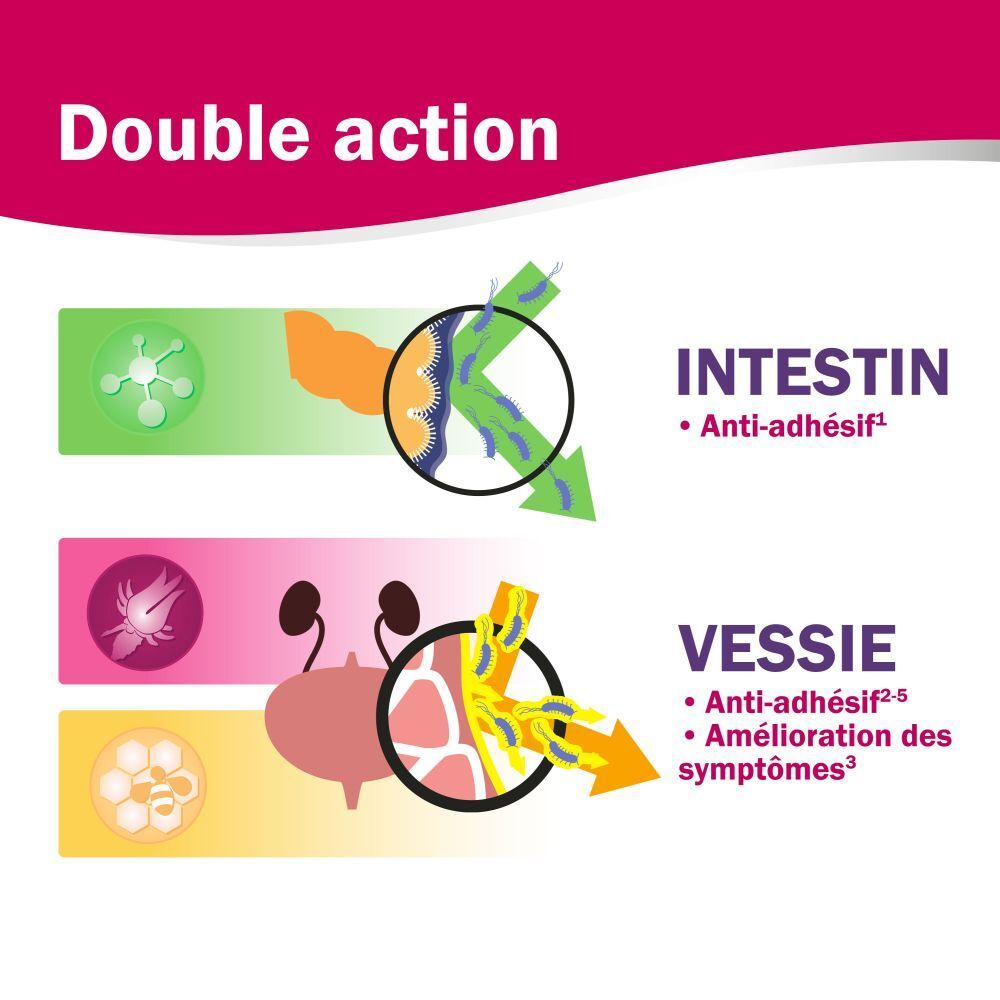 Graphique : Intestin et vessie. Texte : Double action. Anti-adhésif. Amélioration des symptômes.