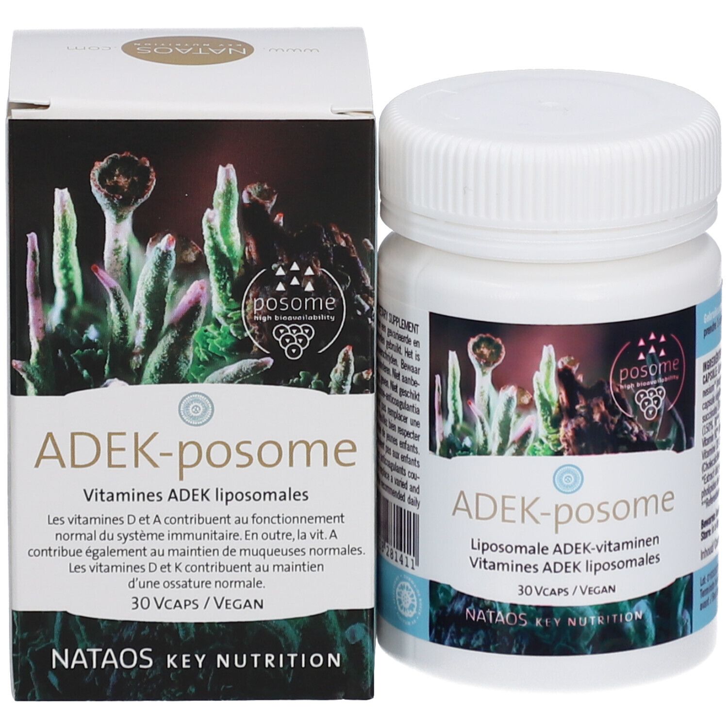 ADEK-Posome