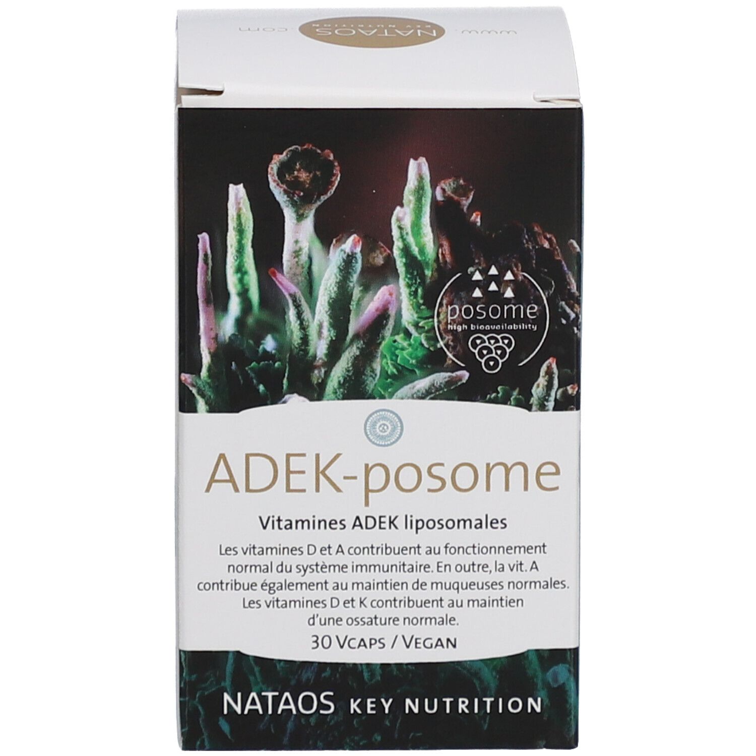 ADEK-Posome