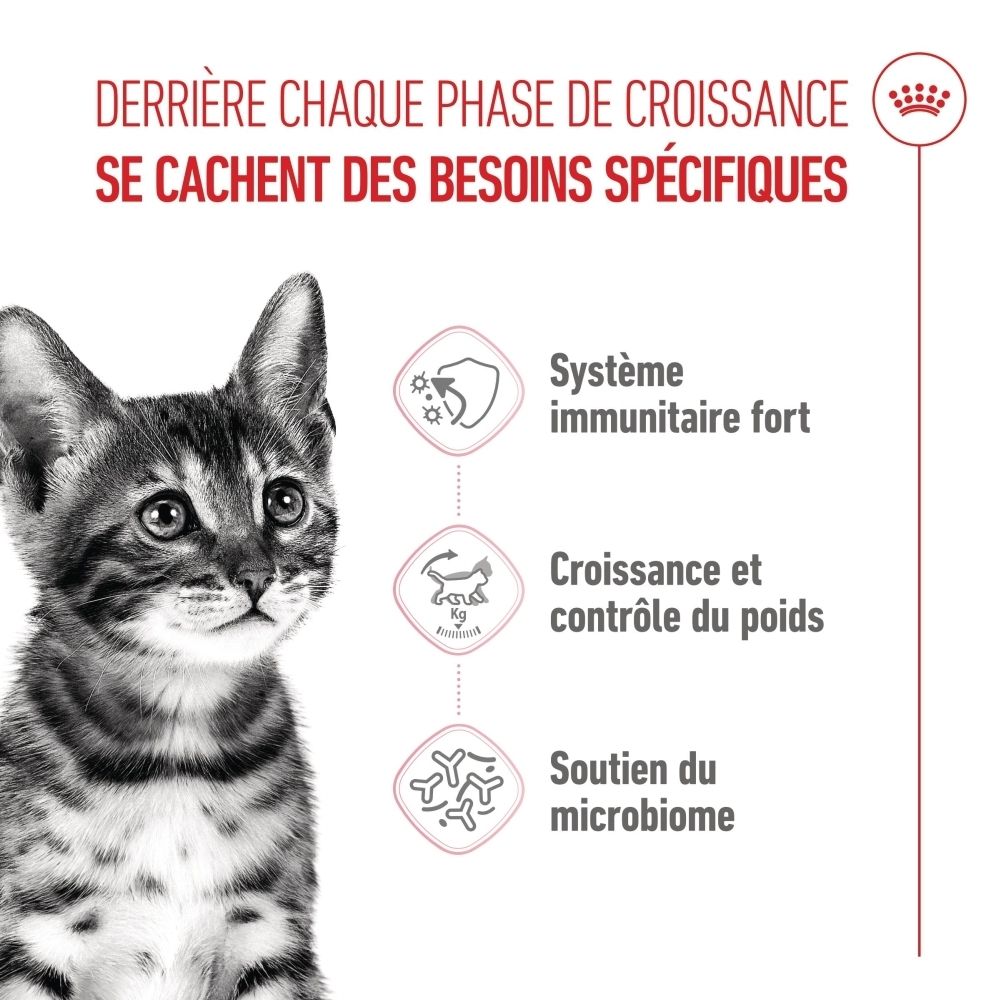 Arrière d'un sac de nourriture Royal Canin Kitten Sterilised avec informations détaillées.