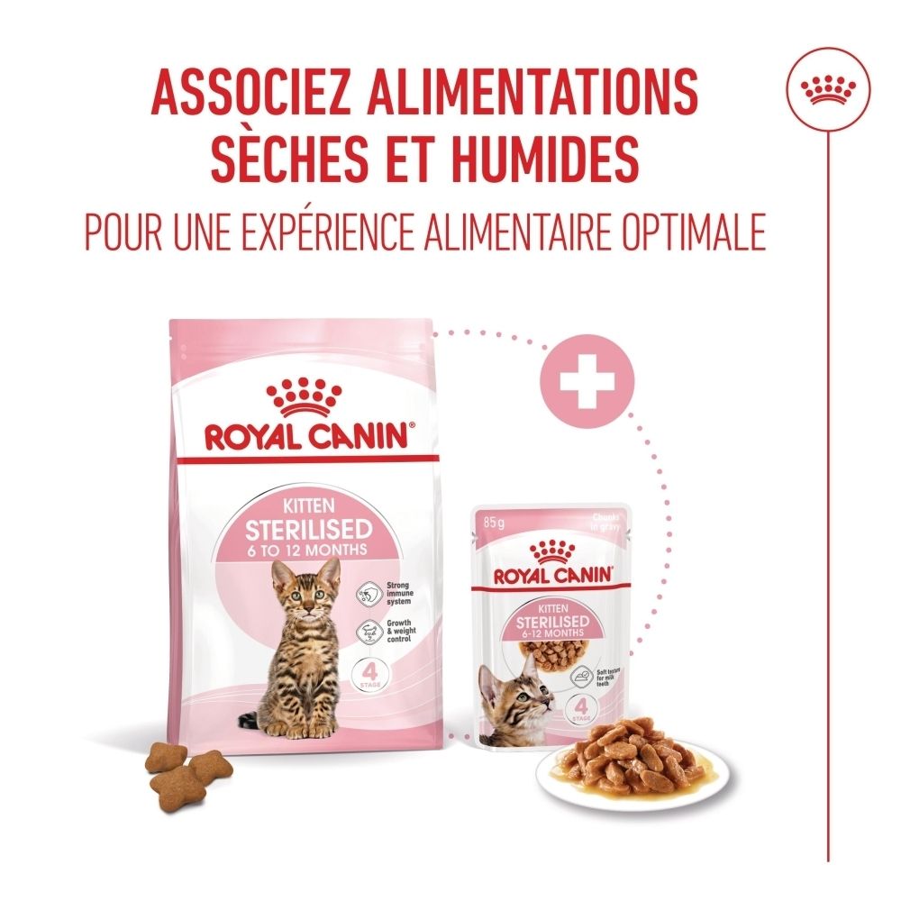 Un chaton mange dans une gamelle, à côté une croquette avec indication de taille.
