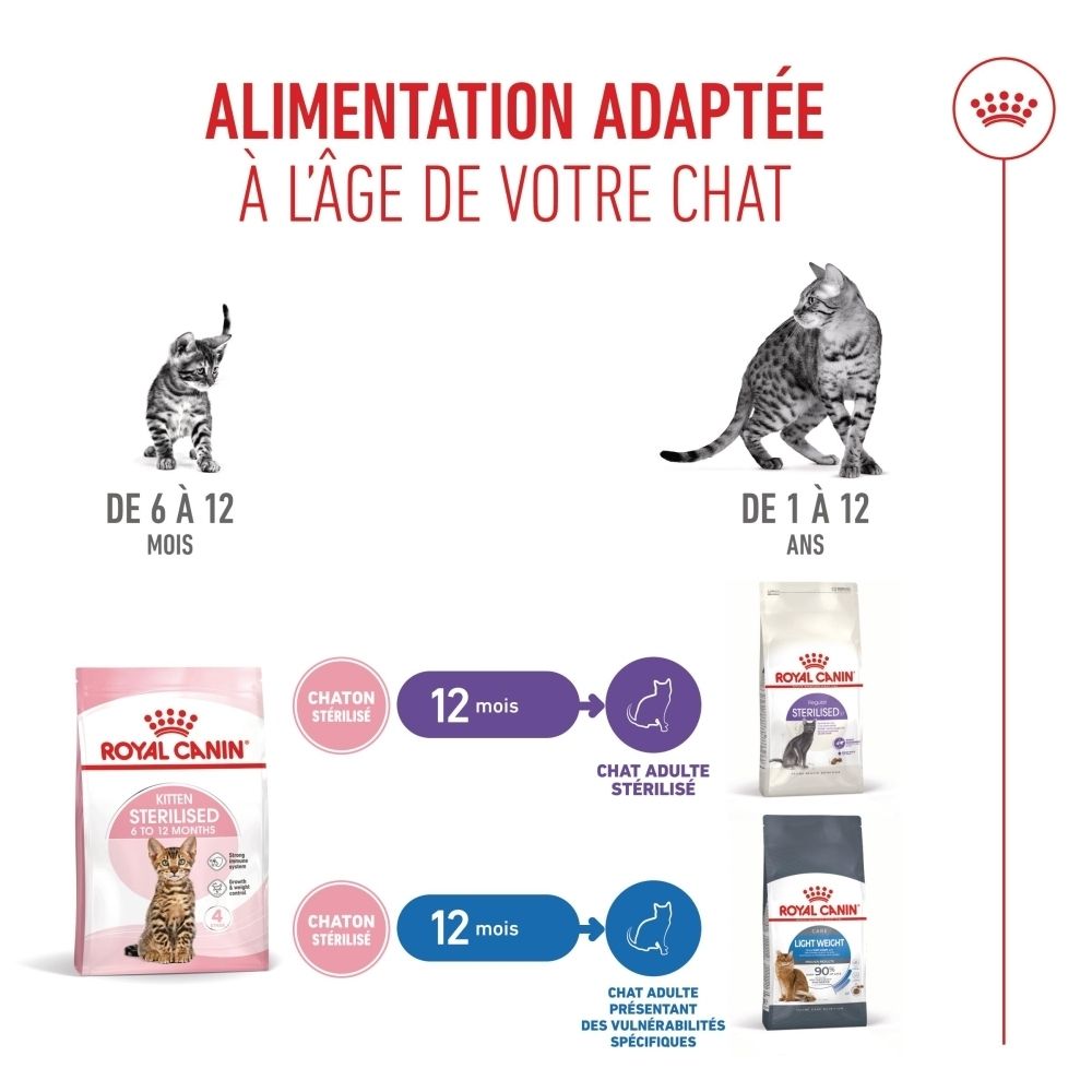 Combinaison de nourriture sèche et humide Royal Canin Kitten Sterilised pour une alimentation optimale.