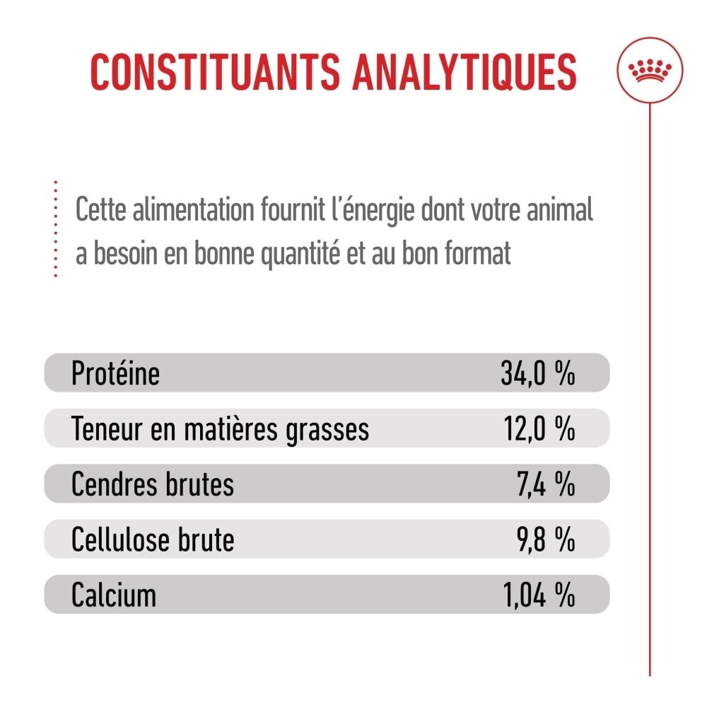 Recommandations alimentaires pour chatons et chats adultes, stérilisés ou avec des besoins spécifiques.