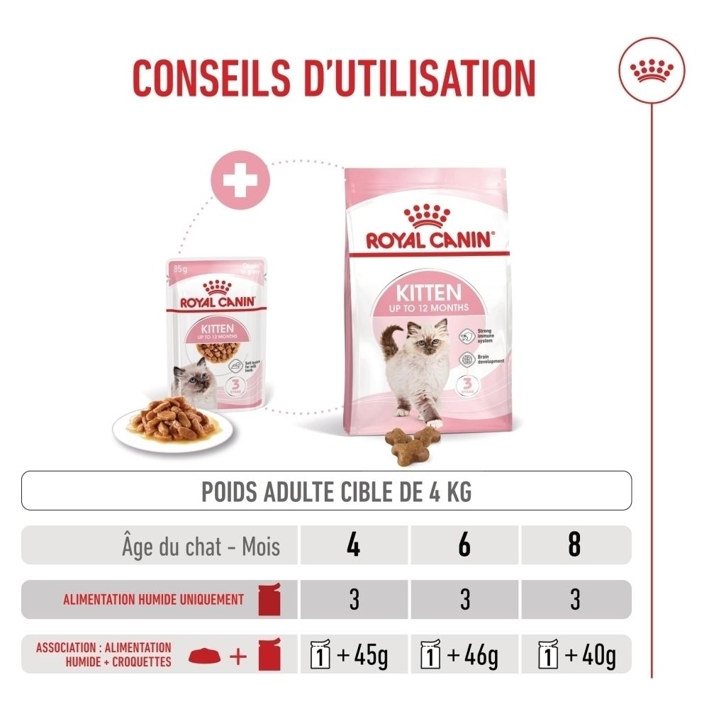 Emballage de nourriture Royal Canin Kitten et bol de nourriture. Tableau des recommandations alimentaires.