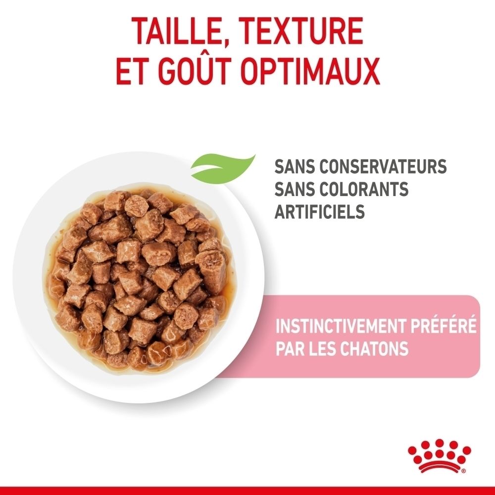 Nourriture humide pour chat : Morceaux de viande hachée en sauce dans une assiette. Sans conservateurs.