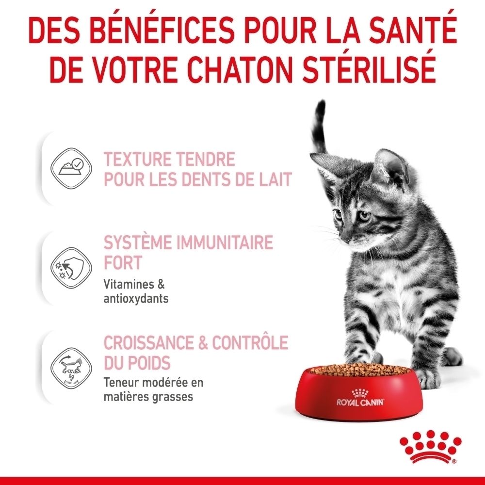 Un chaton regarde une gamelle rouge remplie de nourriture Royal Canin. Le texte souligne les bienfaits pour les chats stérilisés.