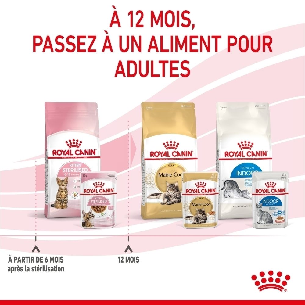 Nourriture pour chats Royal Canin : Sterilised, Maine Coon, Indoor. Différentes tailles de paquets.