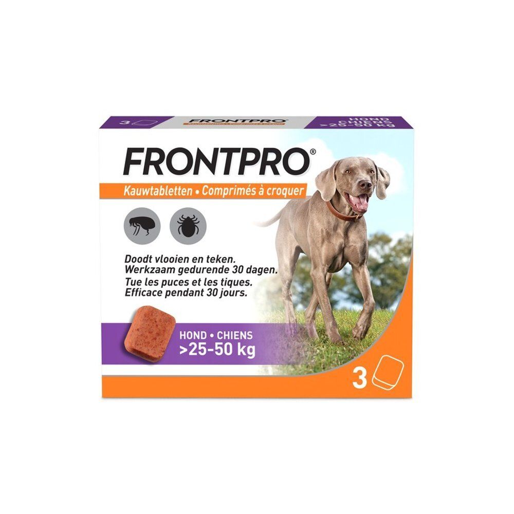 Chien nourri avec une friandise FRONTPRO par une femme.