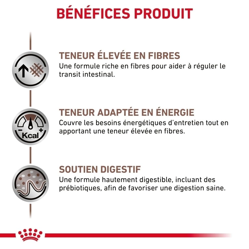 Aperçu des avantages du produit Royal Canin Gastrointestinal : haute teneur en fibres, teneur énergétique adaptée, soutien digestif.