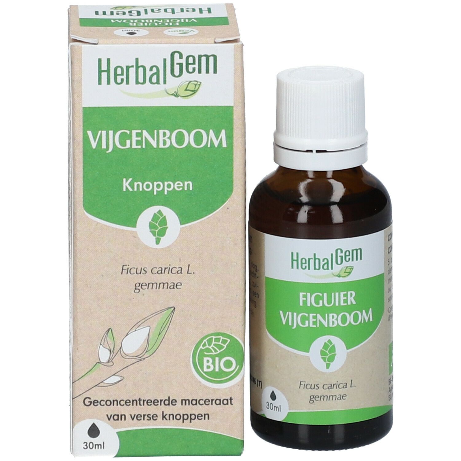 HERBALGEM - Figuier Bio - Complément Alimentaire  - Extrait De Bourgeon Frais - Pour Digestion -  - 30 ml