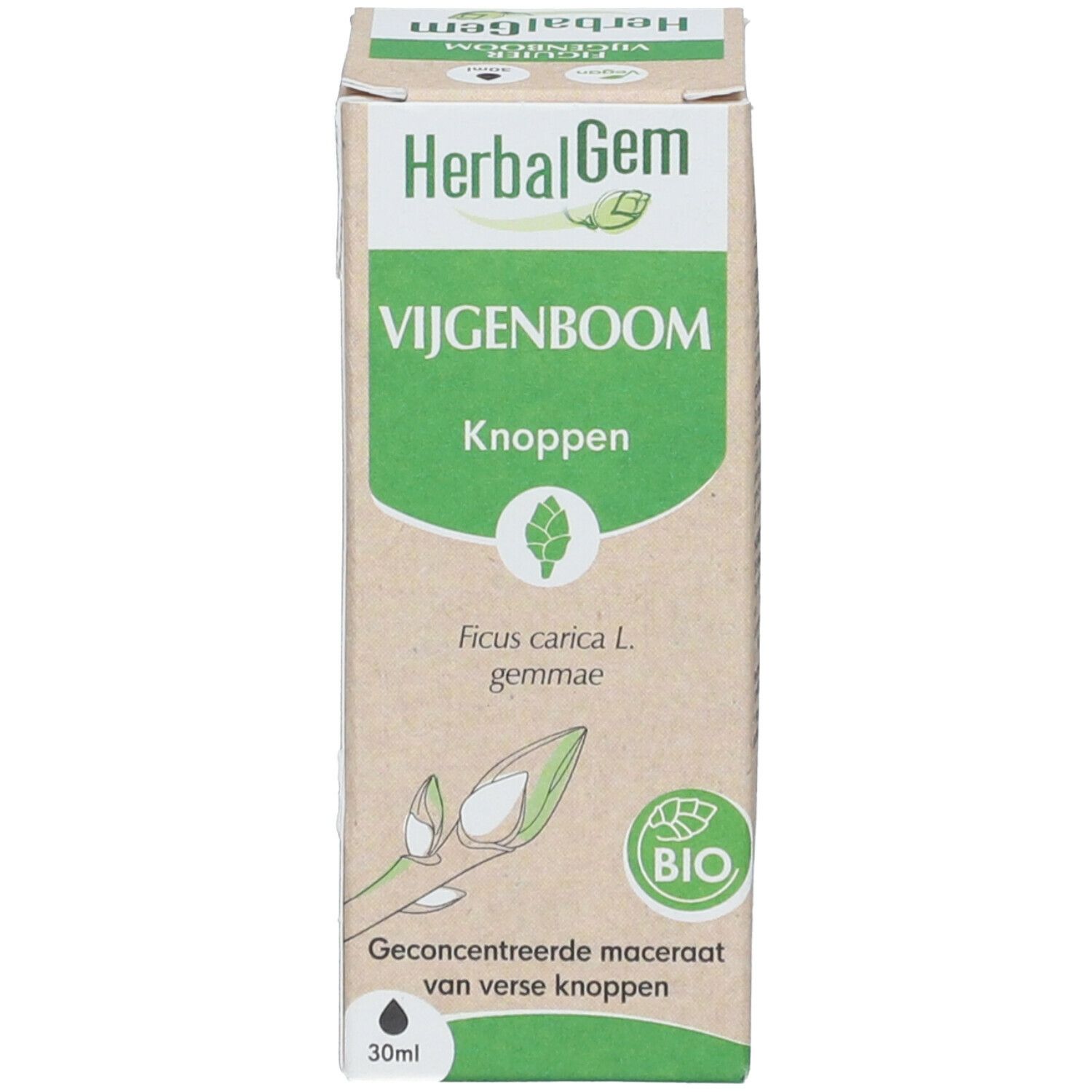 HERBALGEM - Figuier Bio - Complément Alimentaire  - Extrait De Bourgeon Frais - Pour Digestion -  - 30 ml