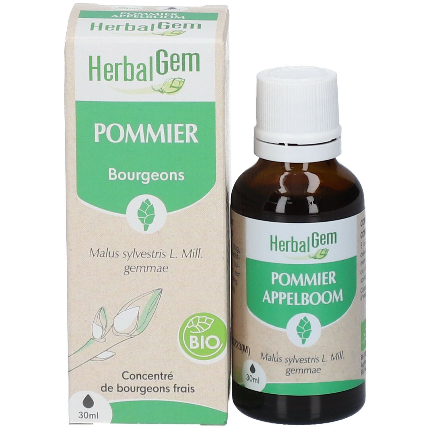 HerbalGem POMMIER