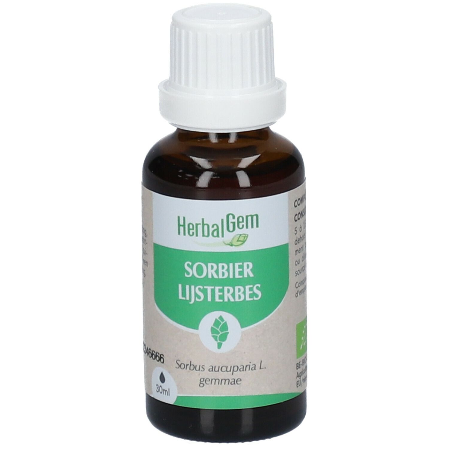 HERBALGEM - Sorbier Bio - Complément Alimentaire  - Extrait De Bourgeon Frais - Pour tonicité du corp, defenses immunitaires, stress -  - 30 ml