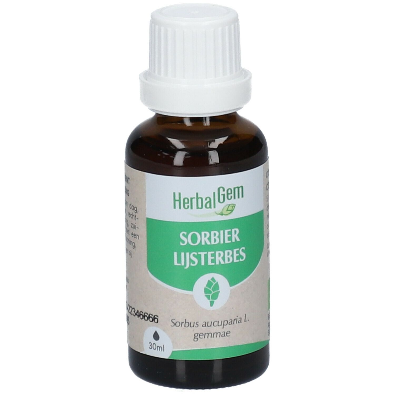 HERBALGEM - Sorbier Bio - Complément Alimentaire  - Extrait De Bourgeon Frais - Pour tonicité du corp, defenses immunitaires, stress -  - 30 ml