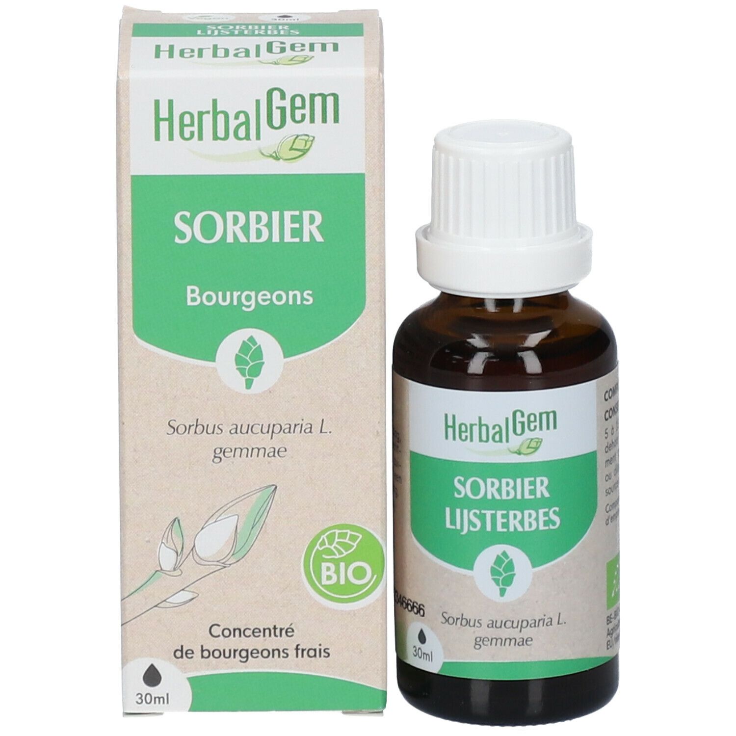 HERBALGEM - Sorbier Bio - Complément Alimentaire  - Extrait De Bourgeon Frais - Pour tonicité du corp, defenses immunitaires, stress -  - 30 ml