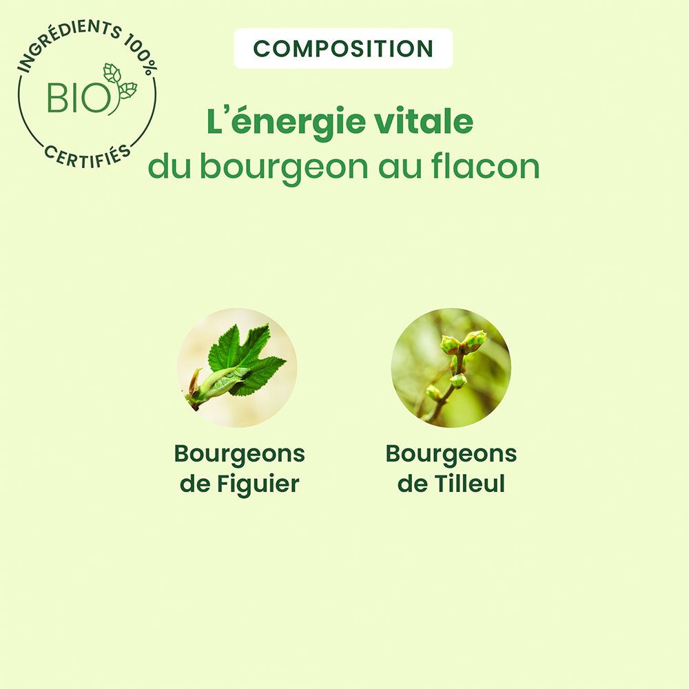Deux cercles avec feuilles. Texte: L'énergie vitale du bourgeon au flacon. Bourgeons de Figuier. Tilleul.
