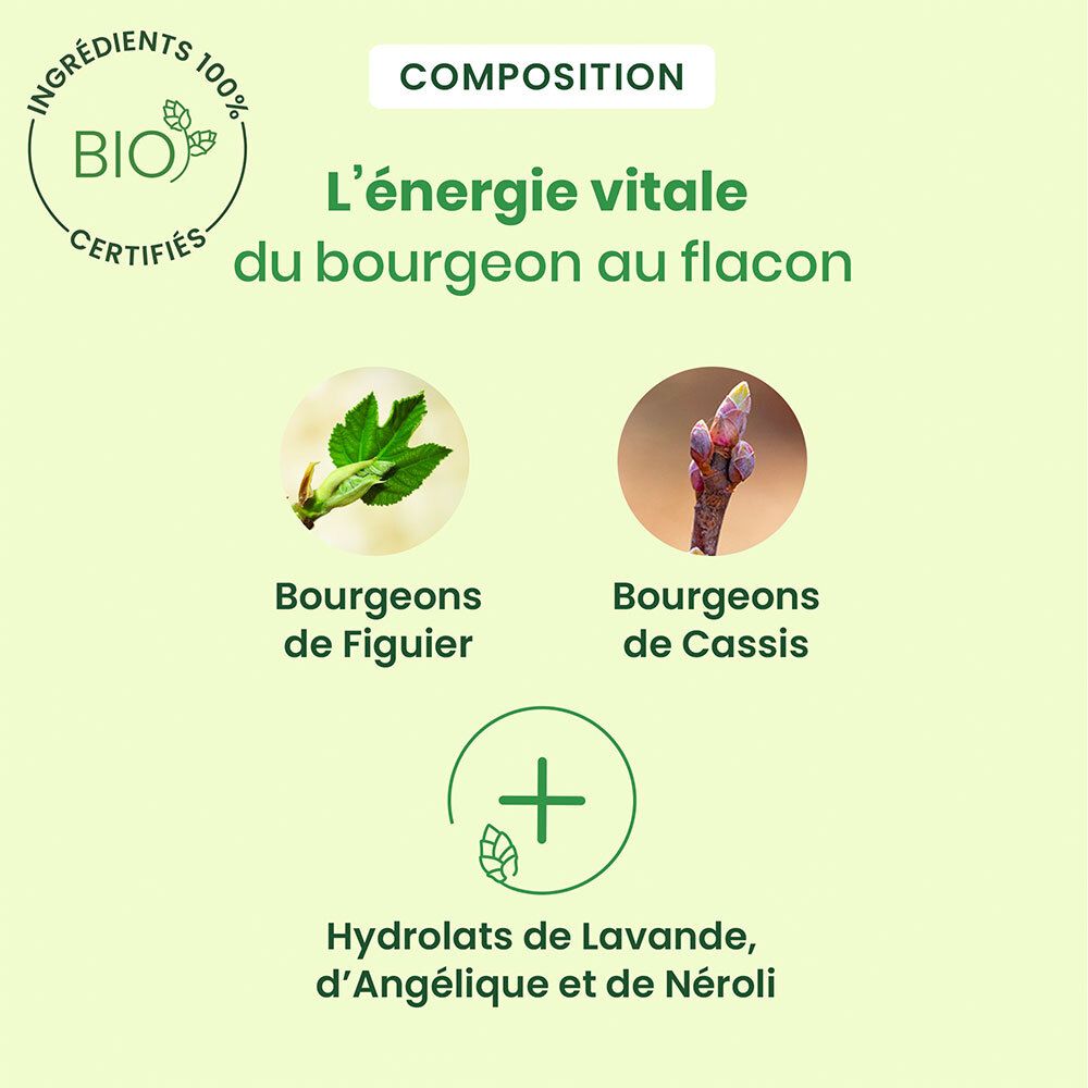 HerbalGem CALMIGEM