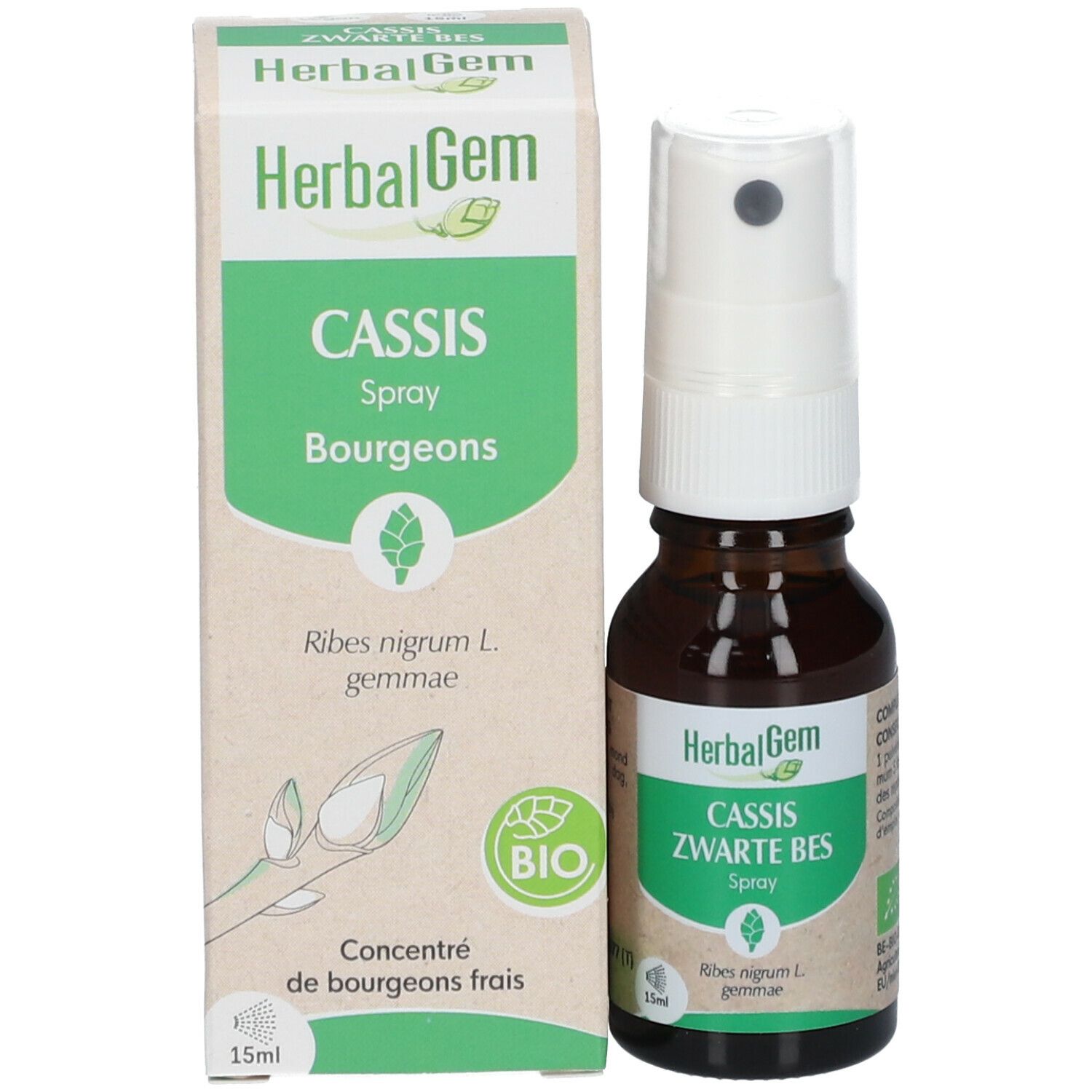 HERBALGEM - Cassis Bio - Complément Alimentaire  - Extrait De Bourgeon Frais - Pour Articulations, 15 ml