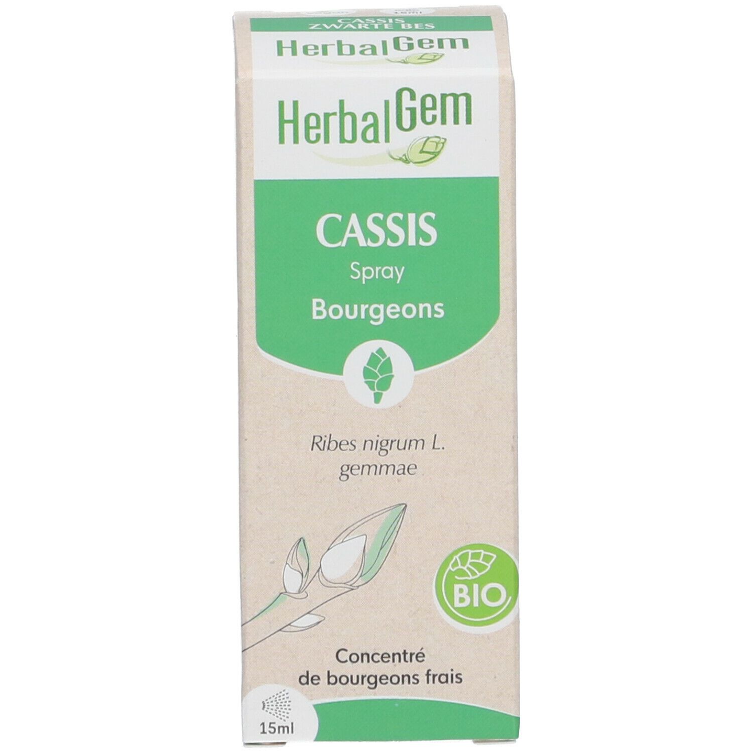 HERBALGEM - Cassis Bio - Complément Alimentaire  - Extrait De Bourgeon Frais - Pour Articulations, 15 ml