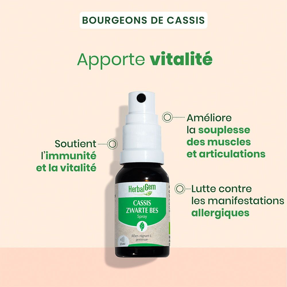 HERBALGEM - Cassis Bio - Complément Alimentaire  - Extrait De Bourgeon Frais - Pour Articulations, 15 ml