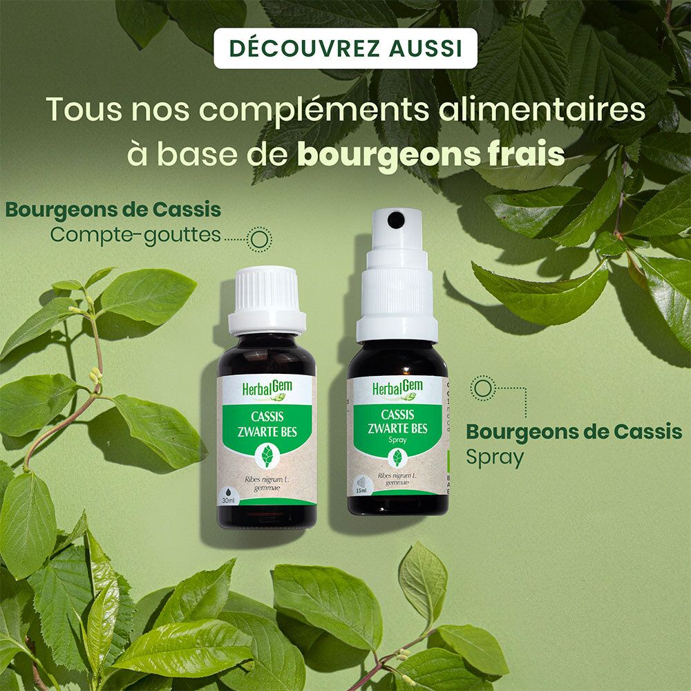 HERBALGEM - Cassis Bio - Complément Alimentaire  - Extrait De Bourgeon Frais - Pour Articulations, 15 ml