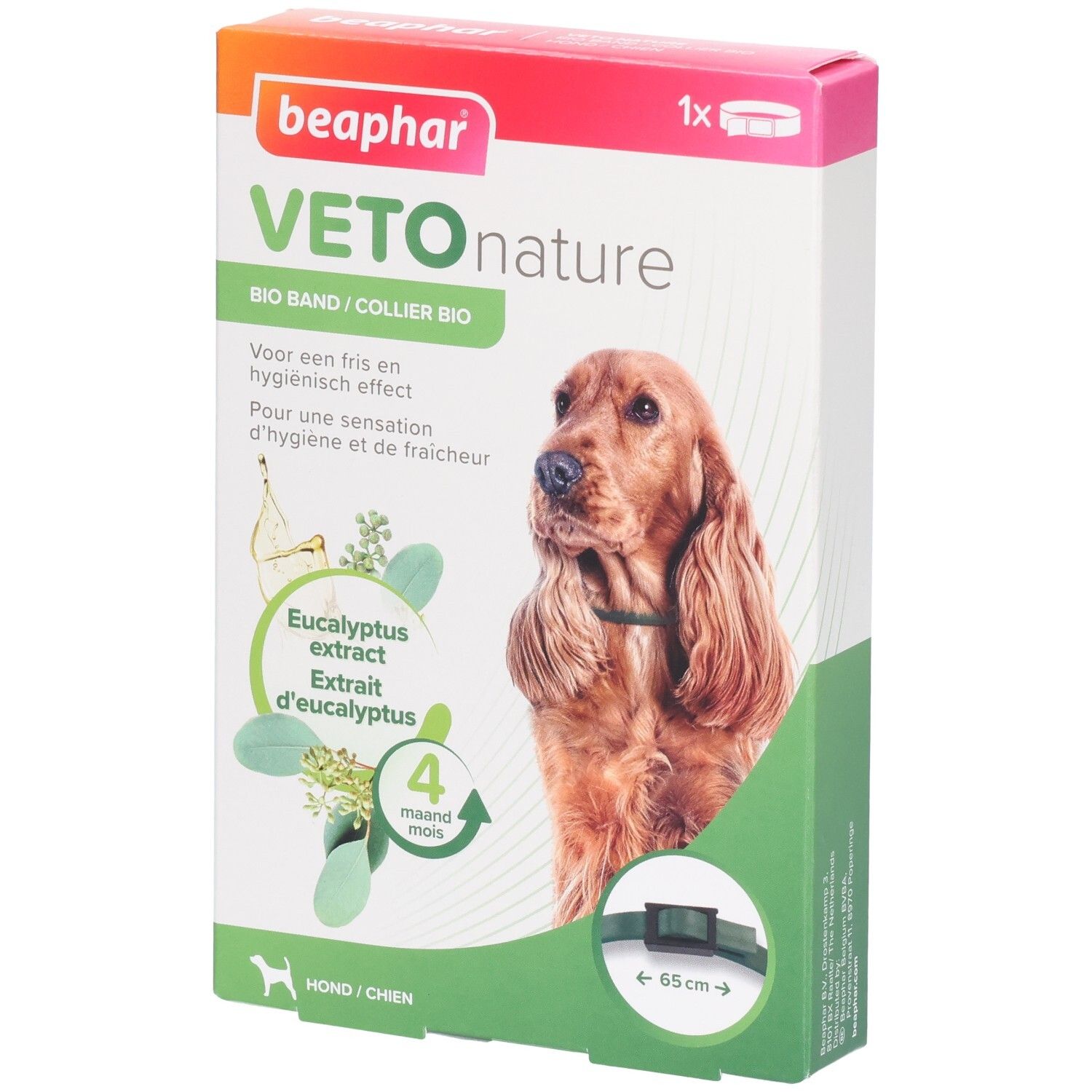 Boîte Beaphar Veto nature Bio Band. Contient extrait d'eucalyptus. Pour chiens. Durée : 4 mois. Collier vert visible.