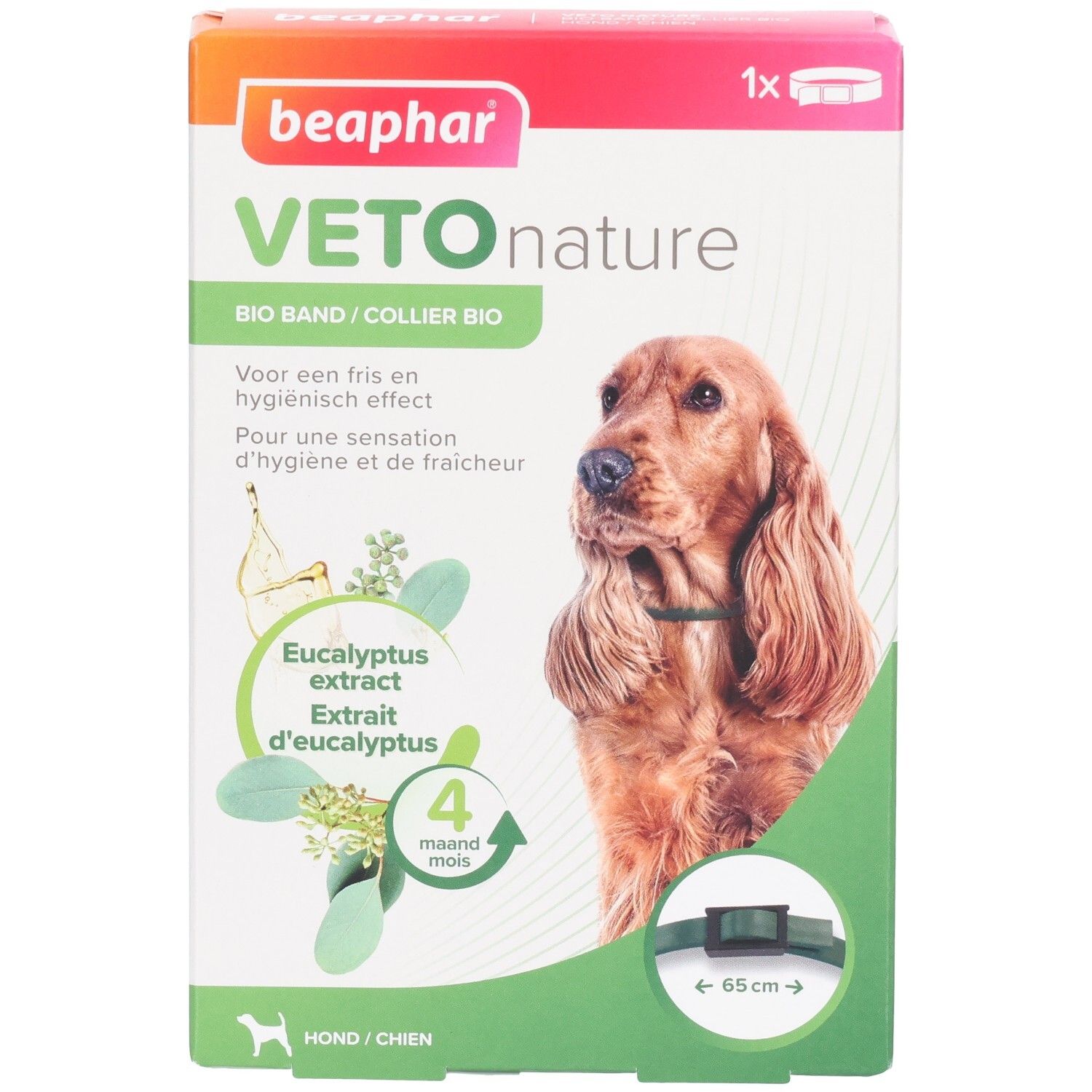 Boîte Beaphar Veto nature Bio Band. Contient extrait d'eucalyptus. Pour chiens. 4 mois. Collier vert visible.