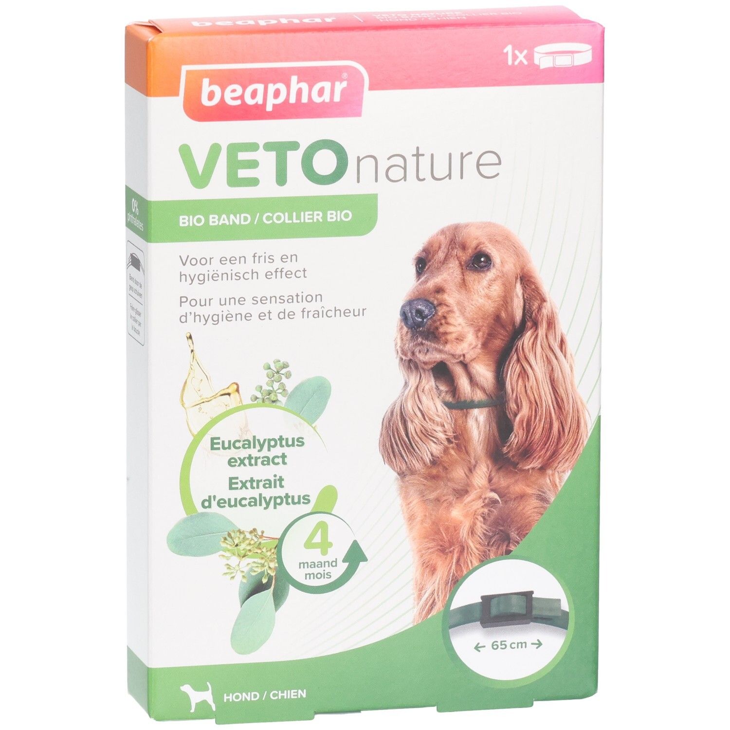 Boîte Beaphar Veto nature Bio Band. Contient extrait d'eucalyptus. Pour chiens. 4 mois. Collier vert visible.
