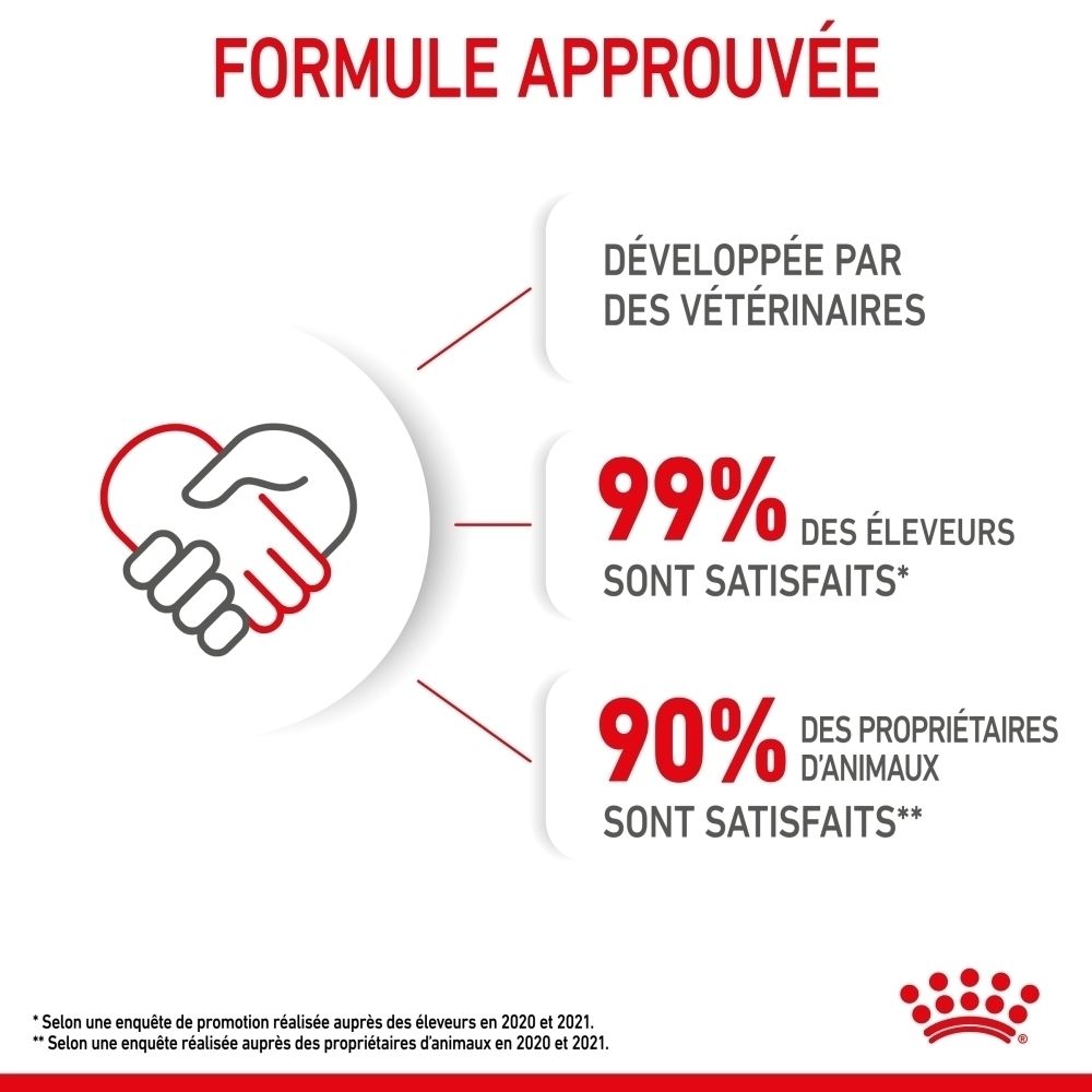 Sachet Royal Canin Kitten Mousse en sauce, 85g. Avec image de chaton et texte.