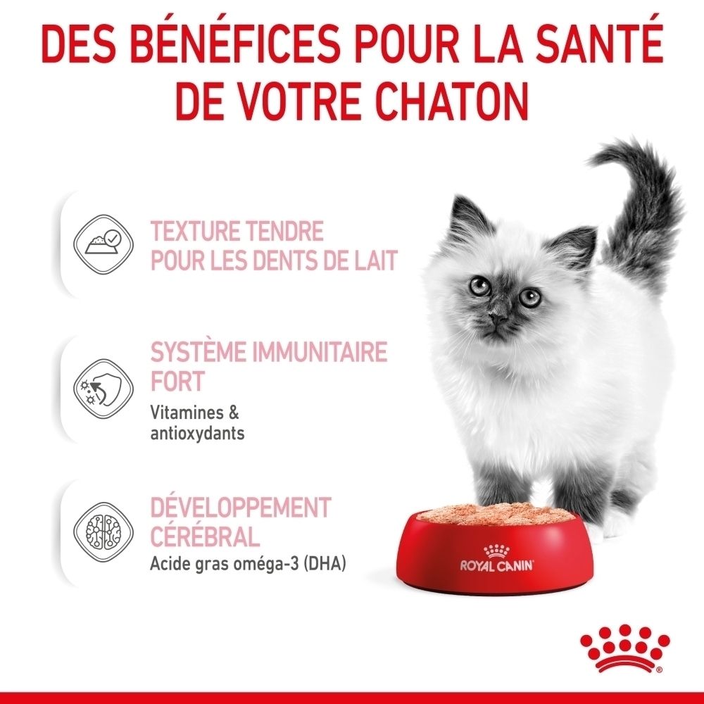 Sachet Royal Canin Kitten Mousse en sauce, 85g. Avec image de chaton et texte.