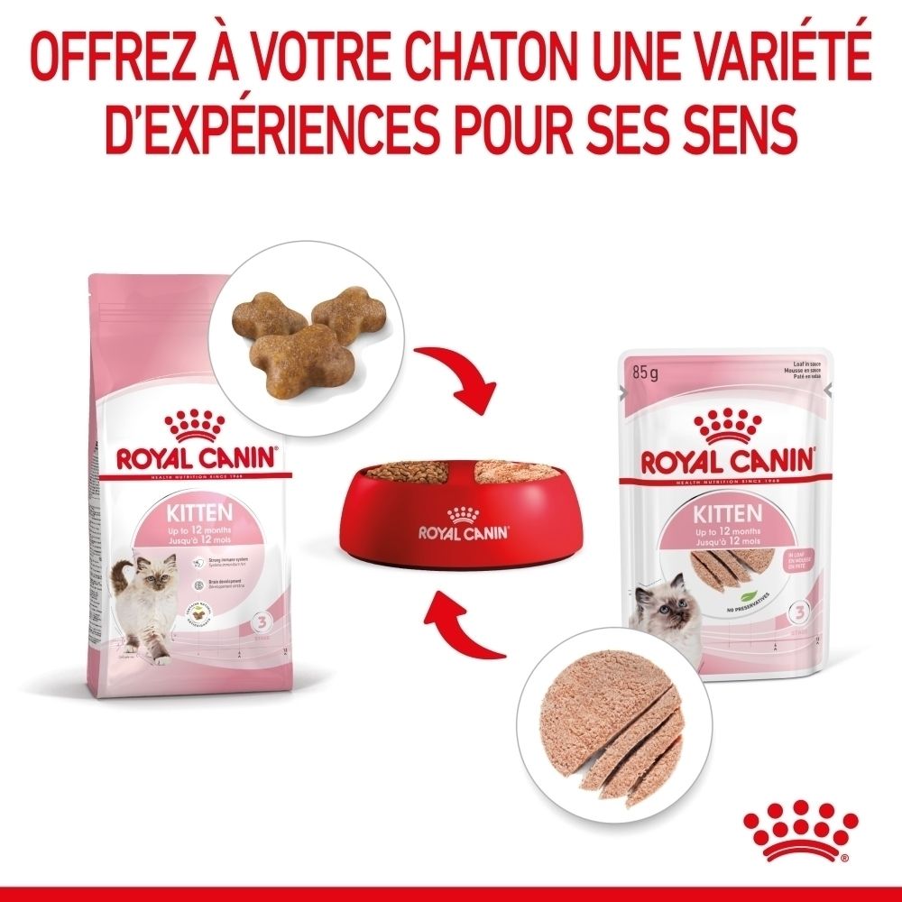 Sachet Royal Canin Kitten Mousse en sauce, 85g. Avec image de chaton et texte.