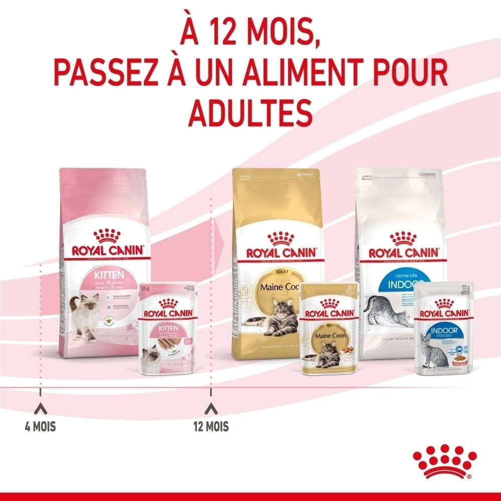 Sachet Royal Canin Kitten Mousse en sauce, 85g. Avec image de chaton et texte.