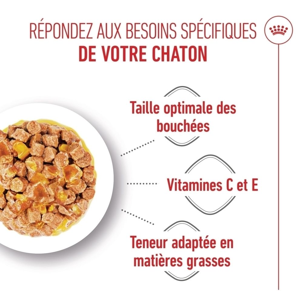 Nourriture pour chat sur une assiette, avec des cubes et de la sauce. Étiquettes : Taille optimale des bouchées, Vitamines C et E, Teneur adaptée en matières grasses.