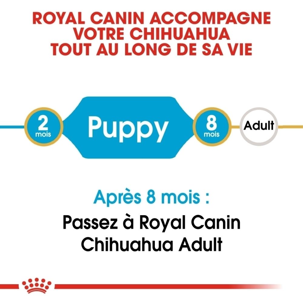 Avant d'un sac de nourriture pour chiot Royal Canin Chihuahua. Montre un chiot Chihuahua et le nom du produit.