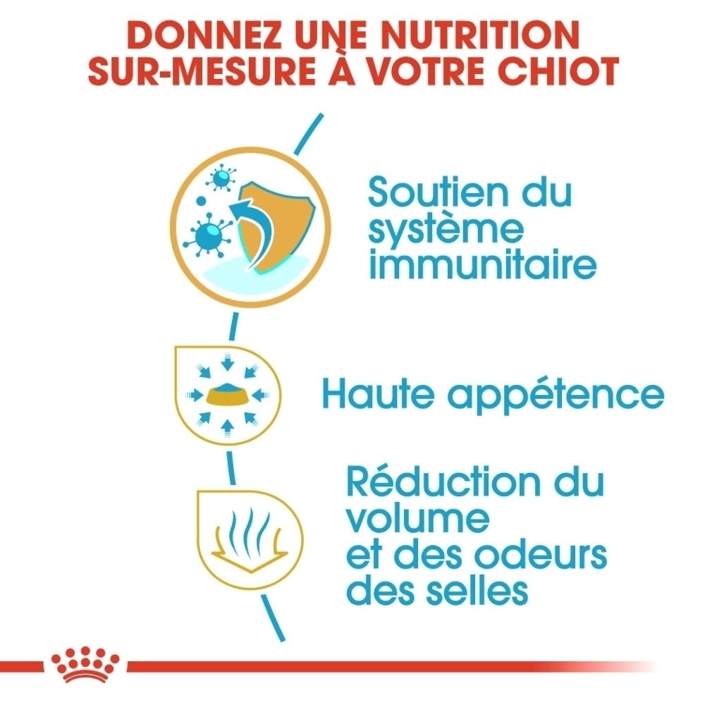 Graphique Royal Canin montrant les étapes d'alimentation pour chiots Chihuahua : de 2 à 8 mois (chiot) puis adulte.