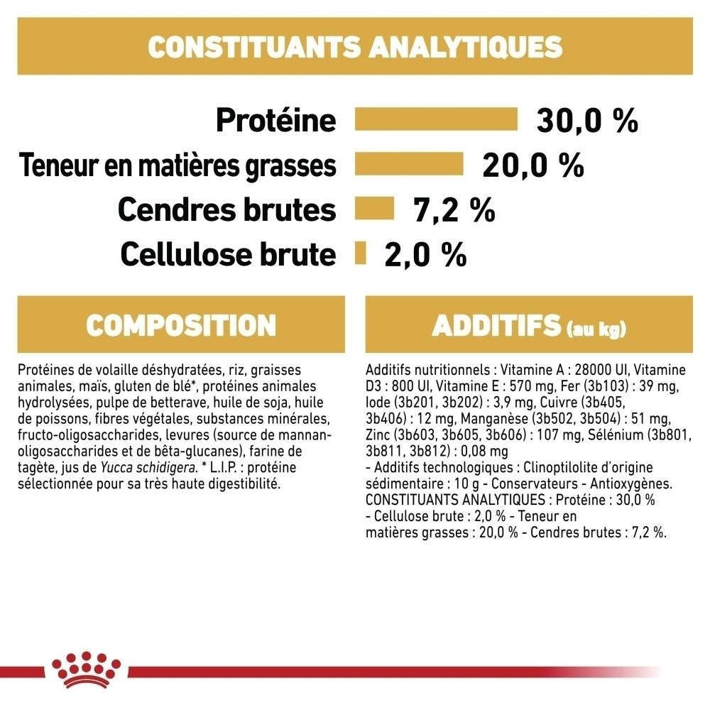 Graphique Royal Canin montrant la race Chihuahua avec un dessin schématique d'un chiot.