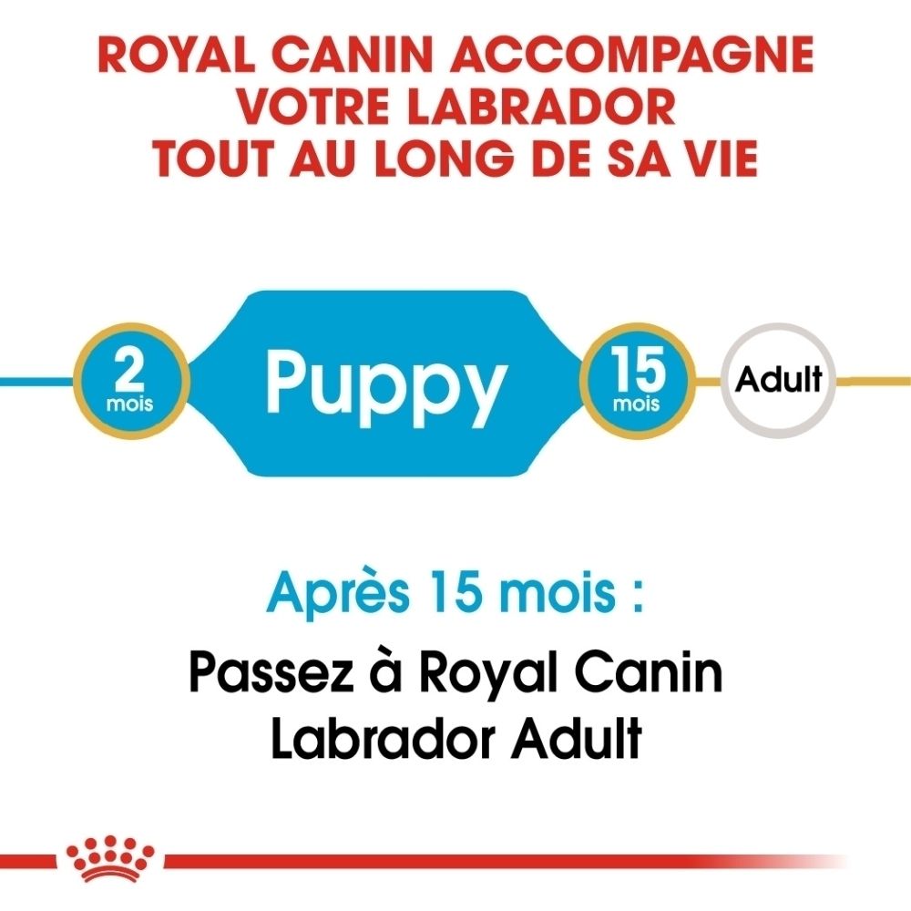 Emballage avec chiot Labrador et informations produit.