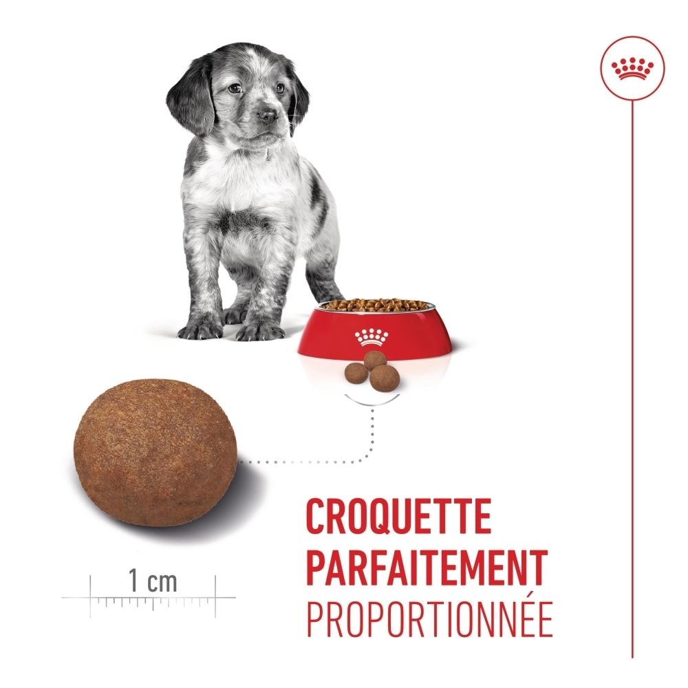 Sac de croquettes Royal Canin Puppy Medium, 4kg, avec informations produit.