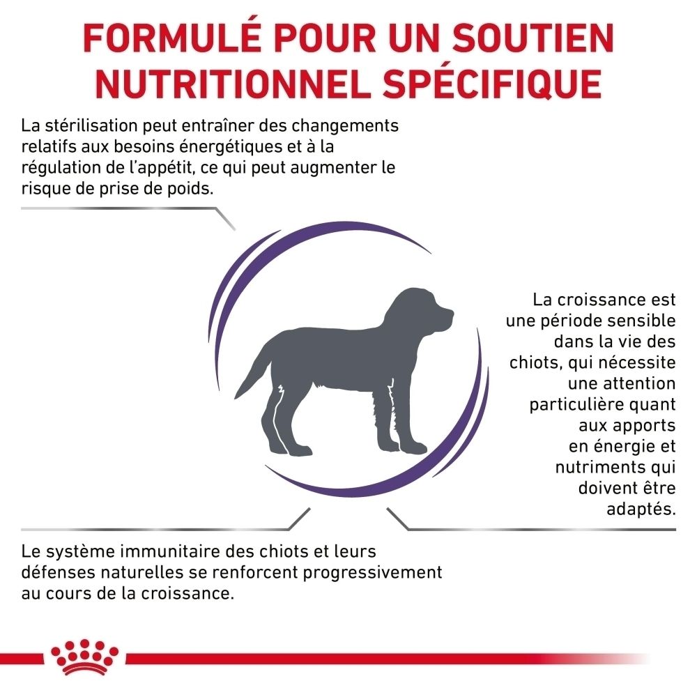Arrière d'un sac de croquettes Royal Canin avec informations nutritionnelles et tableau d'alimentation.