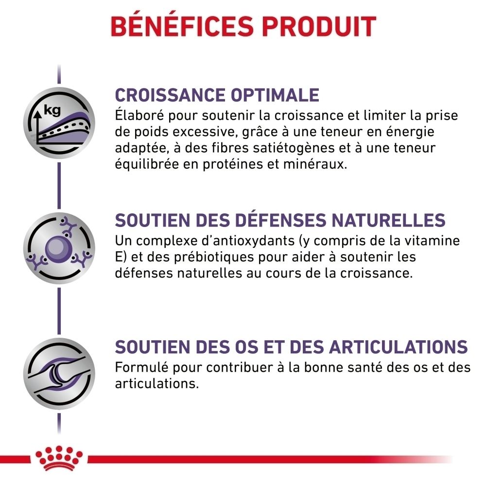 Informations sur Royal Canin Expert Neutered Junior L en français.