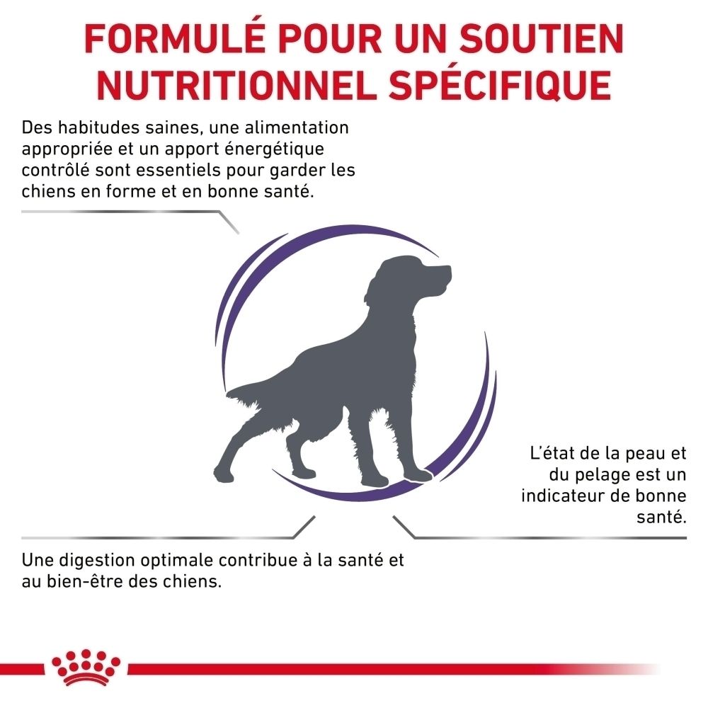 ROYAL CANIN® : Formulé pour un soutien nutritionnel spécifique pour chiens.