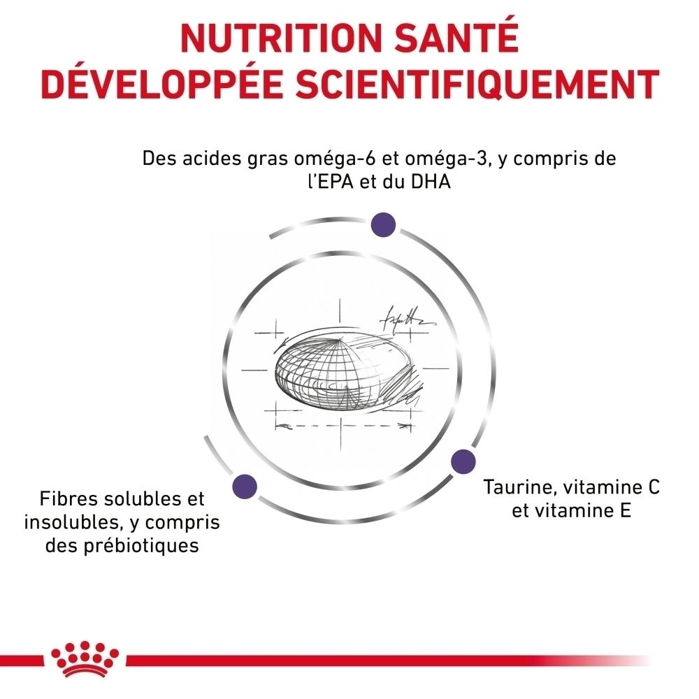 ROYAL CANIN® : Nutrition santé développée scientifiquement pour chiens.