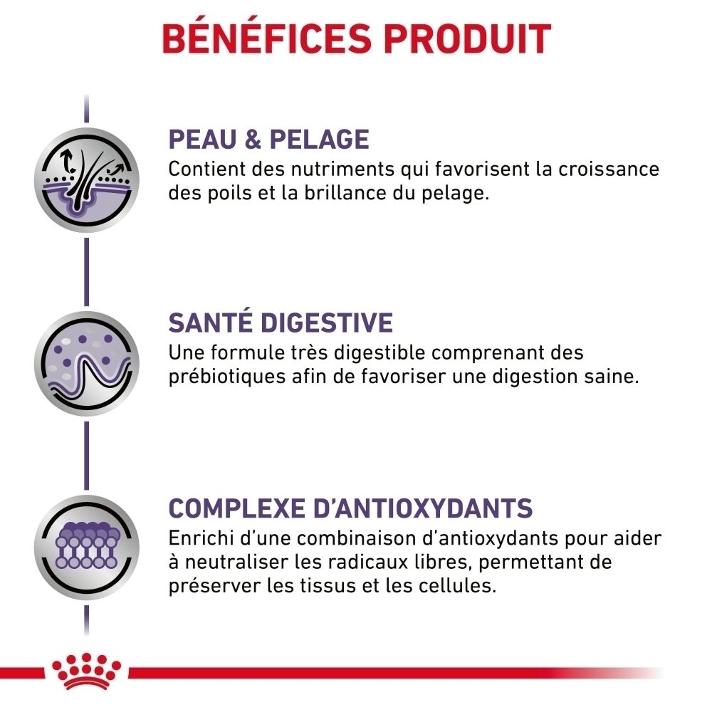 ROYAL CANIN® Avantages produit : Peau, digestion et antioxydants pour chiens.