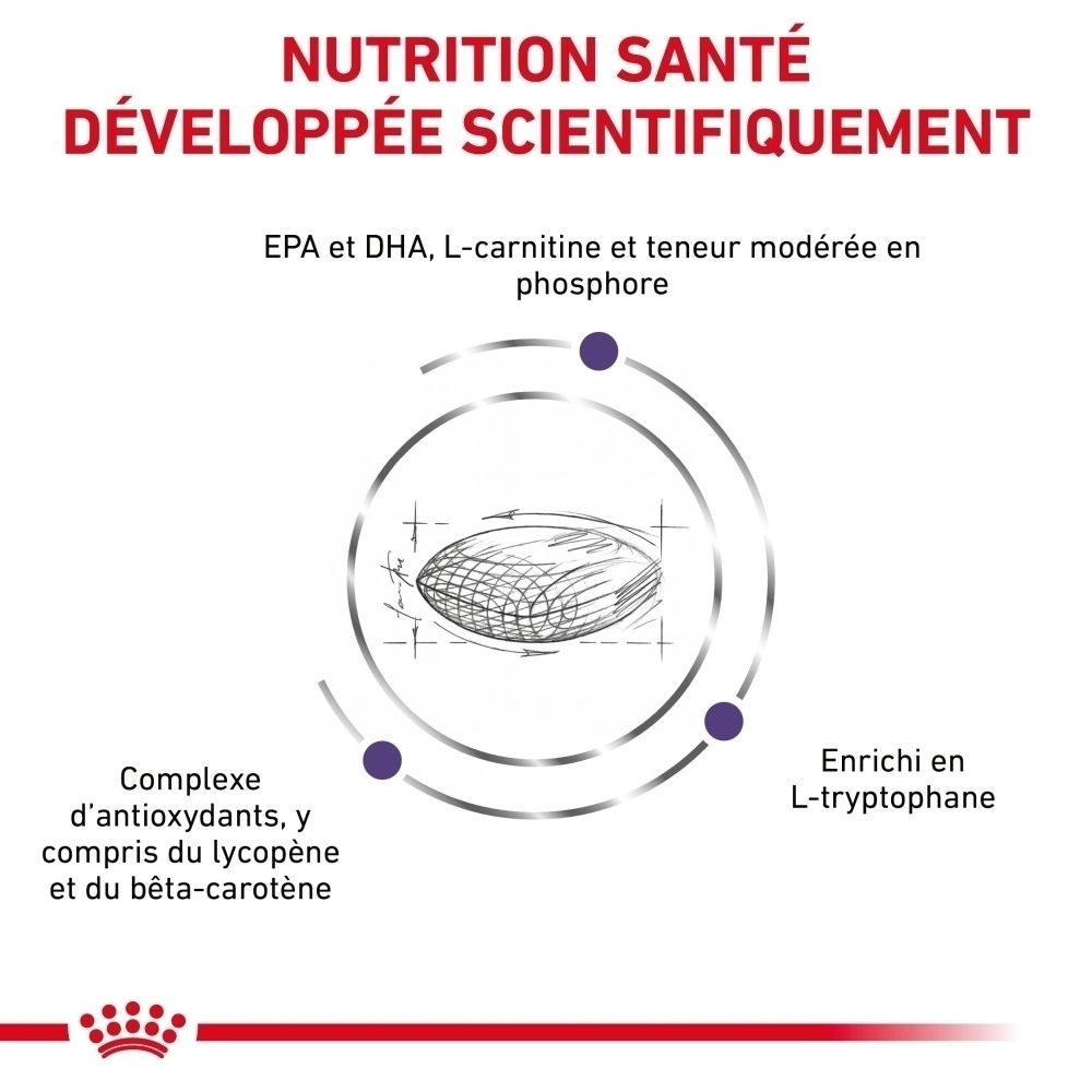 Royal Canin VET-D Mature Consult Medium Dog : Nutrition développée scientifiquement avec EPA, DHA, L-Carnitine.