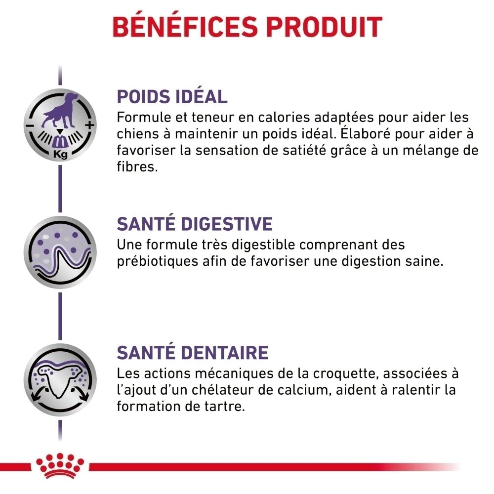 Graphique sur les bénéfices produit : poids idéal, digestion, santé dentaire.
