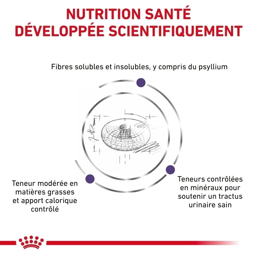 Paquet Royal Canin pour chiens adultes stérilisés de petite taille avec Jack Russell Terrier.
