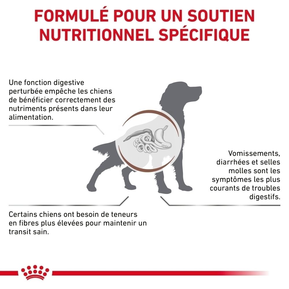Illustration d'un chien montrant le système digestif, expliquant les bénéfices de Royal Canin Veterinary Gastrointestinal High Fibre.